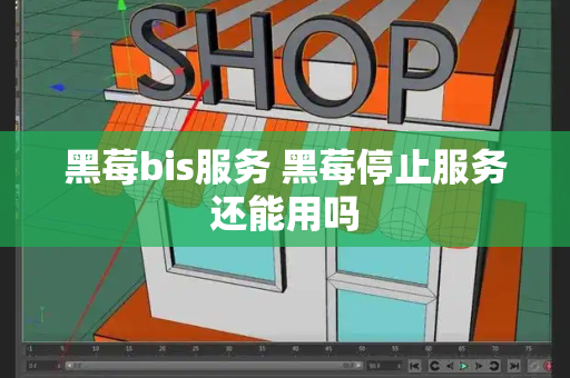 黑莓bis服务 黑莓停止服务还能用吗