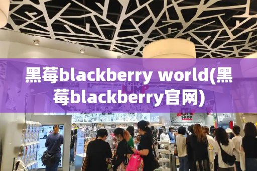 黑莓blackberry world(黑莓blackberry官网)-第1张图片-星选测评