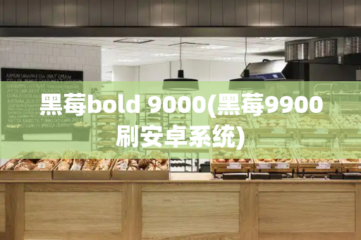 黑莓bold 9000(黑莓9900刷安卓系统)