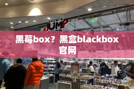 黑莓box？黑盒blackbox官网-第1张图片-星选测评