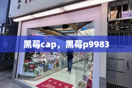 黑莓cap，黑莓p9983