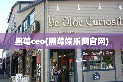 黑莓ceo(黑莓娱乐网官网)
