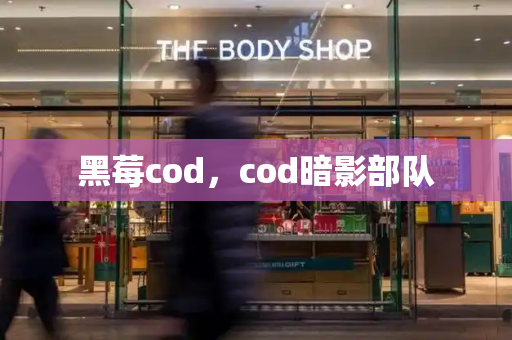 黑莓cod，cod暗影部队