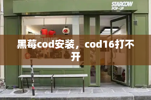 黑莓cod安装，cod16打不开
