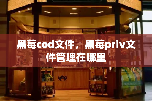 黑莓cod文件，黑莓priv文件管理在哪里