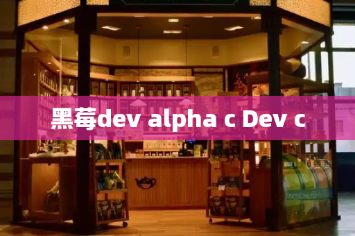 黑莓dev alpha c Dev c-第1张图片-星选测评