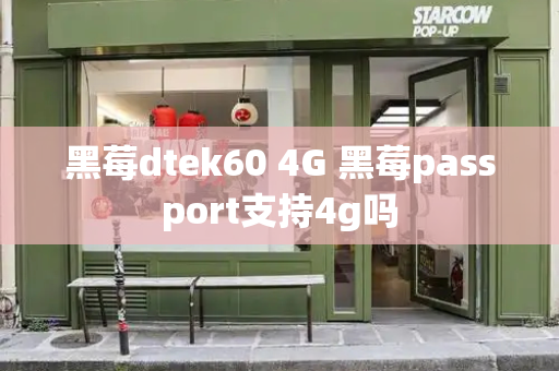 黑莓dtek60 4G 黑莓passport支持4g吗