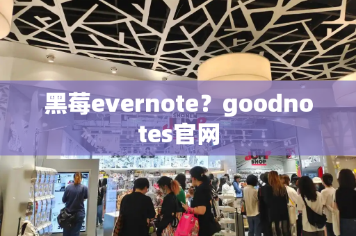 黑莓evernote？goodnotes官网