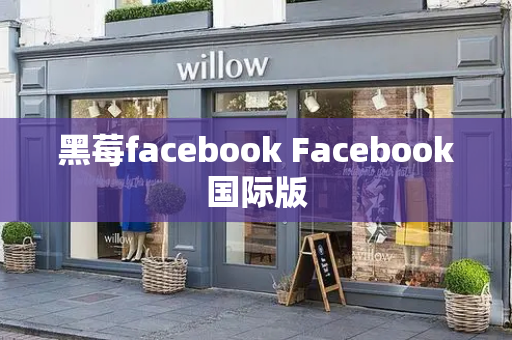 黑莓facebook Facebook国际版