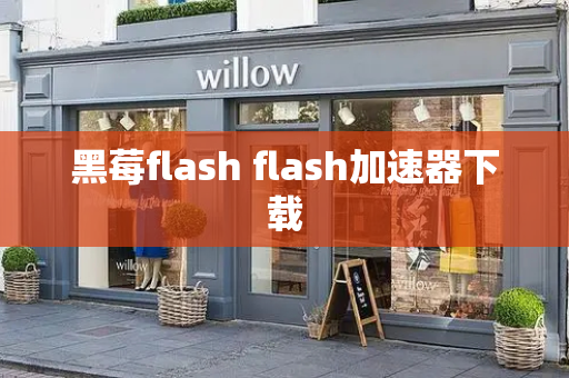 黑莓flash flash加速器下载