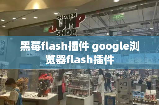 黑莓flash插件 google浏览器flash插件