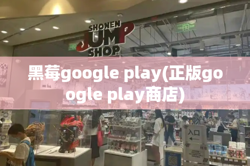 黑莓google play(正版google play商店)