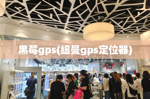 黑莓gps(纽曼gps定位器)