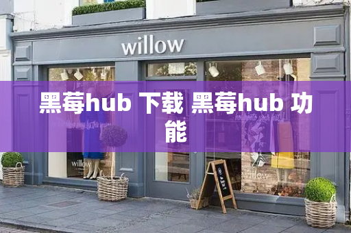 黑莓hub 下载 黑莓hub 功能-第1张图片-星选测评
