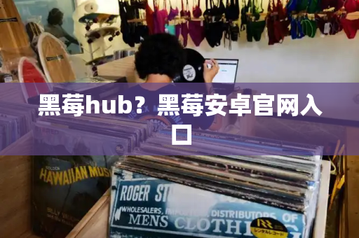 黑莓hub？黑莓安卓官网入口-第1张图片-星选测评