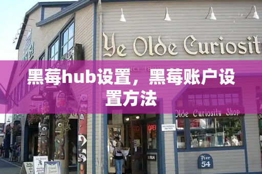 黑莓hub设置，黑莓账户设置方法