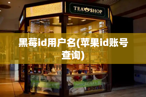 黑莓id用户名(苹果id账号查询)