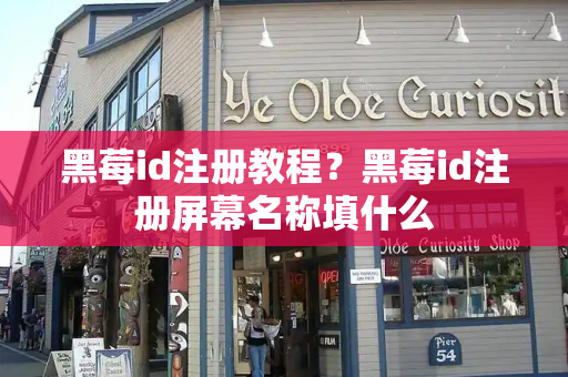 黑莓id注册教程？黑莓id注册屏幕名称填什么