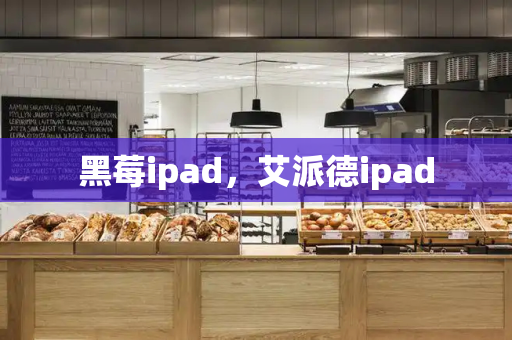 黑莓ipad，艾派德ipad