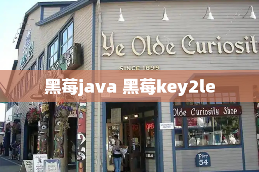 黑莓java 黑莓key2le-第1张图片-星选测评