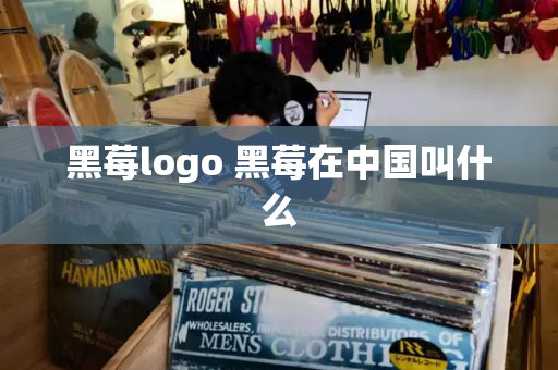 黑莓logo 黑莓在中国叫什么-第1张图片-星选测评