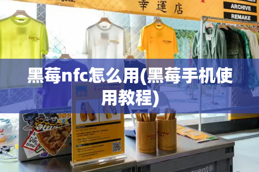 黑莓nfc怎么用(黑莓手机使用教程)-第1张图片-星选测评