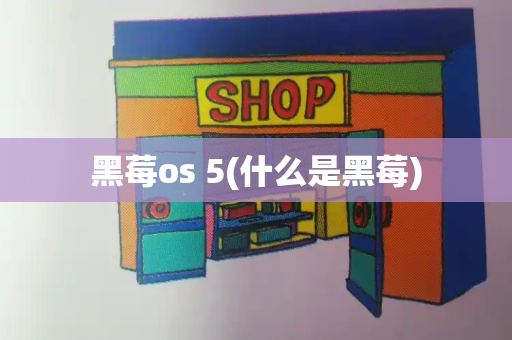 黑莓os 5(什么是黑莓)