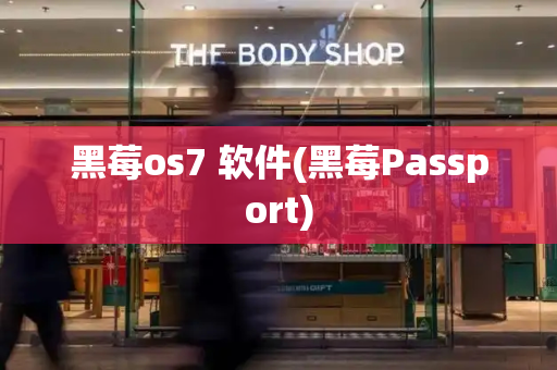 黑莓os7 软件(黑莓Passport)