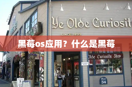 黑莓os应用？什么是黑莓-第1张图片-星选测评