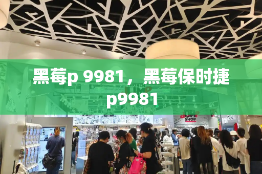 黑莓p 9981，黑莓保时捷p9981