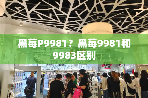 黑莓P9981？黑莓9981和9983区别-第1张图片-星选测评