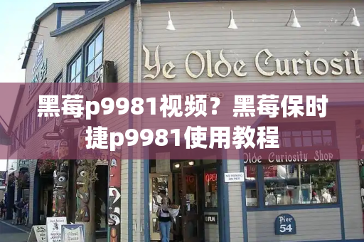 黑莓p9981视频？黑莓保时捷p9981使用教程