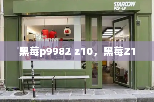 黑莓p9982 z10，黑莓Z10-第1张图片-星选测评