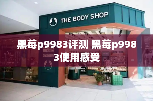 黑莓p9983评测 黑莓p9983使用感受