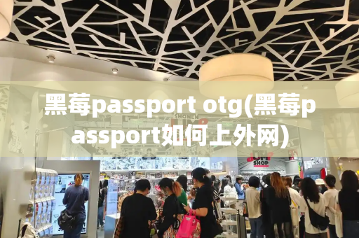 黑莓passport otg(黑莓passport如何上外网)