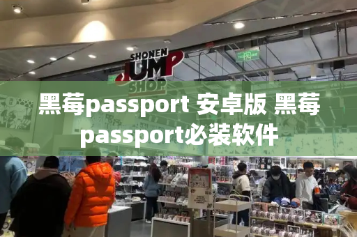 黑莓passport 安卓版 黑莓passport必装软件