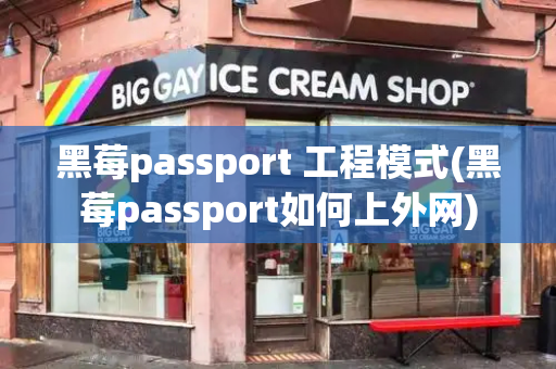 黑莓passport 工程模式(黑莓passport如何上外网)