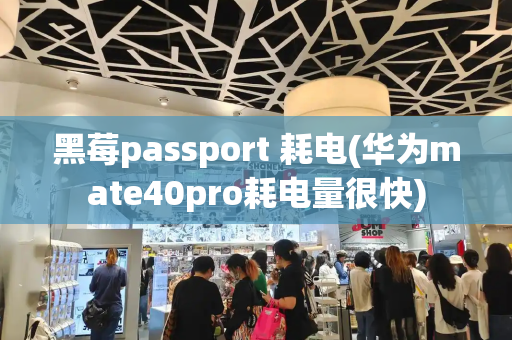黑莓passport 耗电(华为mate40pro耗电量很快)-第1张图片-星选测评