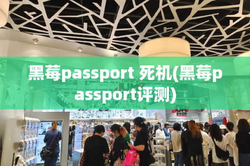 黑莓passport 死机(黑莓passport评测)