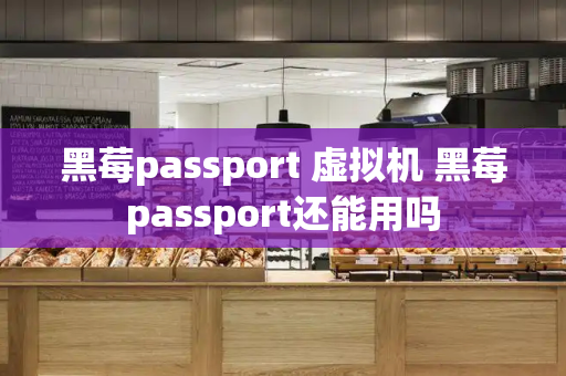 黑莓passport 虚拟机 黑莓passport还能用吗-第1张图片-星选测评