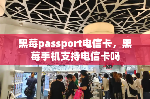 黑莓passport电信卡，黑莓手机支持电信卡吗