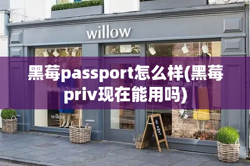黑莓passport怎么样(黑莓priv现在能用吗)-第1张图片-星选测评