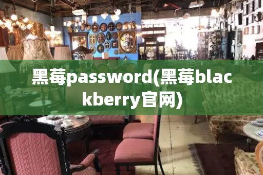 黑莓password(黑莓blackberry官网)