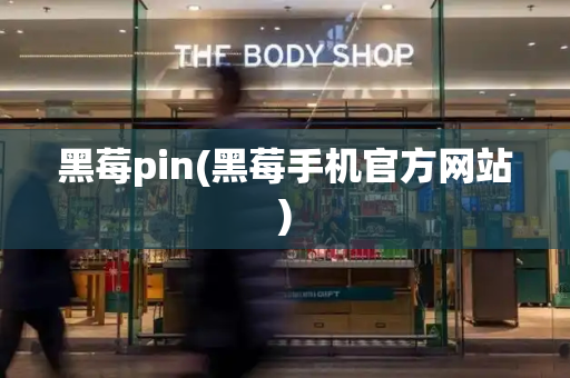 黑莓pin(黑莓手机官方网站)