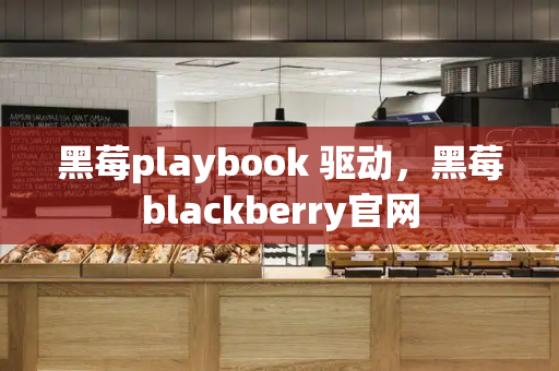 黑莓playbook 驱动，黑莓blackberry官网