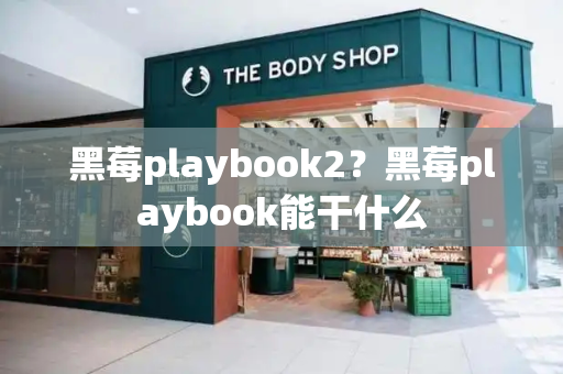 黑莓playbook2？黑莓playbook能干什么-第1张图片-星选测评