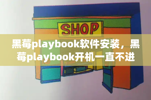 黑莓playbook软件安装，黑莓playbook开机一直不进入-第1张图片-星选测评