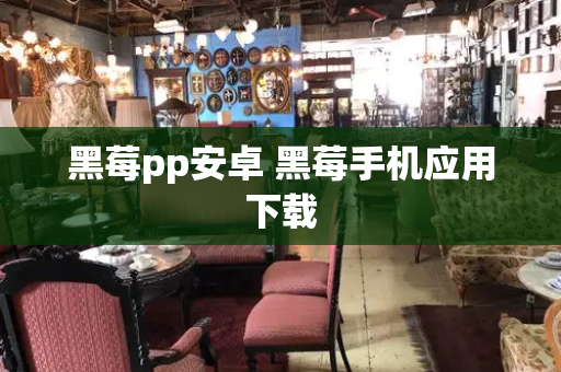黑莓pp安卓 黑莓手机应用下载-第1张图片-星选测评