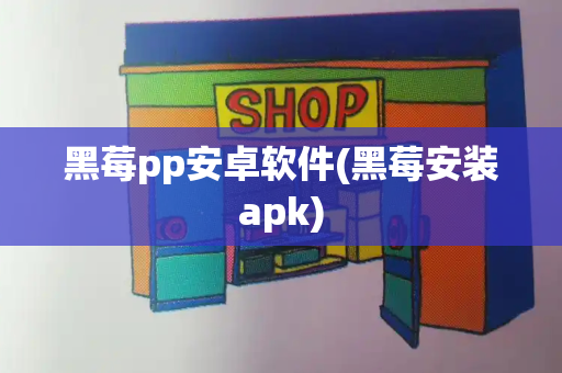 黑莓pp安卓软件(黑莓安装apk)-第1张图片-星选测评