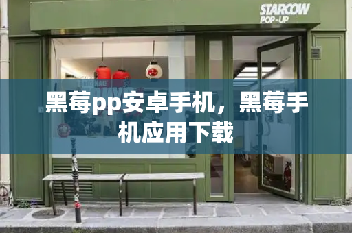 黑莓pp安卓手机，黑莓手机应用下载